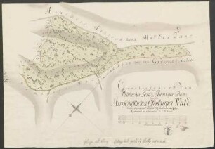 Geometrischer Plan über den im Wollbacher Forst des Hauinger Bans liegenden herrschaftlichen Offenburger Wald