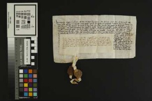 Jugenheim: Raugraf Ruprechts Verkauf seiner Güter in der Gemarkung Jugenheim an seinen Schwager Graf Philipp v. Sponheim