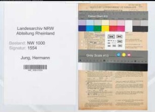 Entnazifizierung Hermann Jung, geb. 23.06.1902 (Chemiker)