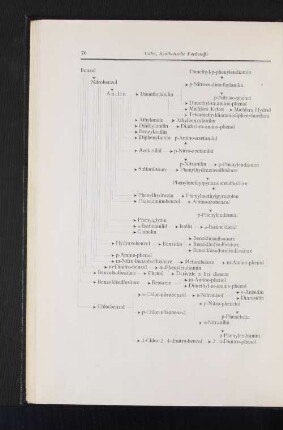 Überblick über die wichtigsten Farbstoffzwischenprodukte (Benzol als Ausgangsmaterial)