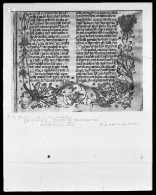 Predigten und Heiligenlegenden — Ranke als Teilbordüre, Folio 1recto