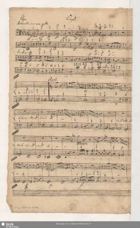 Orgel