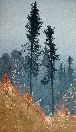 Kiefern im Herbst