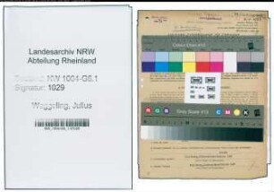 Entnazifizierung Julius Waggeling , geb. 31.05.1894 (Bueroangestellter)