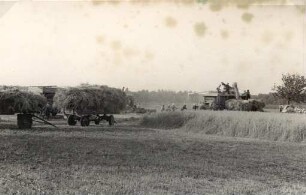 Dreschen auf einem Feld bei Oppitz : Młóćenje žita na polu blisko Psowjach