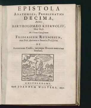 Decima: De Auricularum Cordis, earumque fibrarum motricium structura