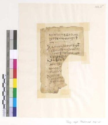 Psali on the Sunday Theotokia
