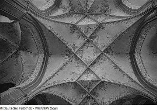 Brandenburg. Pfarrkirche St. Katharinen (1401/1434), Inneres, Netzgewölbe im Mittelschiff mit Malereien
