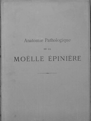 Anatomie pathologique de la moelle épinière