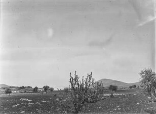 Flachland : Blick über eine ebene Landschaft mit Feldern und vereinzelter Vegetation