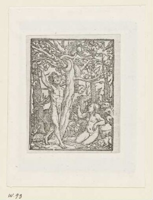 Sündenfall, aus: Symphorien Barbier, Les images de la mort, Lyon 1562, A 2 verso