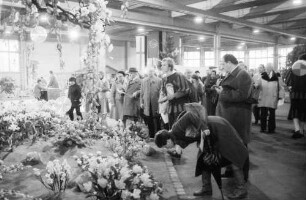 Freiburg: Stadthalle, Blumen- und Gartenausstellung, Künstliche Blumen, Blumen Meier