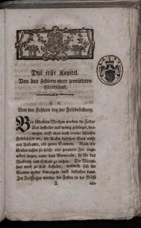 Das erste Kapitel. Von den Fehlern einer zerrütteten Wirthschaft.