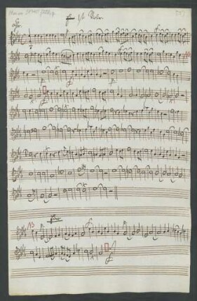 1ste Violine