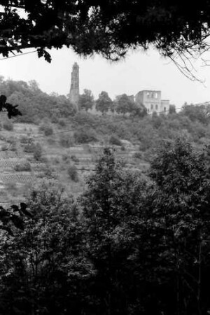 Bad Dürkheim: Klosterruine Limburg, von der Zufahrtstraße bei Bad Dürkheim