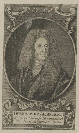 Bildnis des Bernhardus Albinus