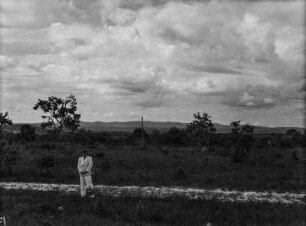 Savannenlandschaft : Savannenlandschaft (Cerrado) im Bundesstaat Goiás.