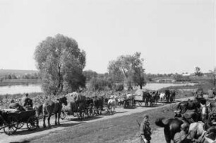 Zweiter Weltkrieg. Frontbilder. Sowjetunion. Konvoi der deutschen Wehrmacht mit Pferdefuhrwerken
