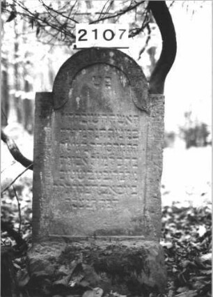 Grabstein 2107