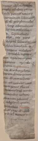 Rituale - BSB Clm 29325(2