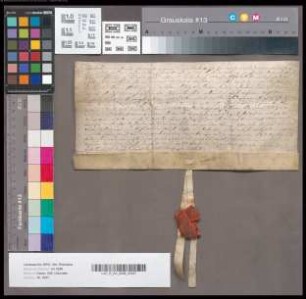 Behandigung Wilhelms Tyman an das gleichnamige Gut [in den Oberhof Eickenscheidt eingehörig].