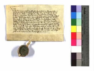 Graf Hamann von Zweibrücken (Zweinbruecken) und Herr zu Bitsch (Bitsche) eignet dem Wilhelm von Weiler (Wiler) 1/6 am Zehnten von Böckingen (Beckingen), das bis jetzt an Wilhelms Statt dessen Vetter Endris von Weiler (Wiler) vom Aussteller zu Lehen getragen hat.