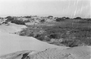 Wüste : Blick über eine Steppe mit Wanderdüne