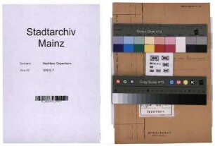 Sitz des Landratsamtes, Mainz oder Oppenheim?