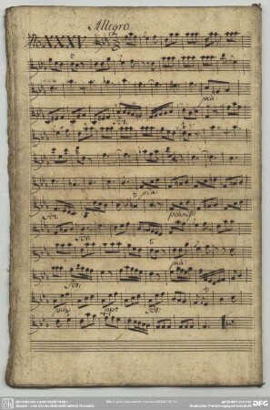 35. Graun, Johann Gottlieb, Sinfonien, GraunWV A:XII:14 