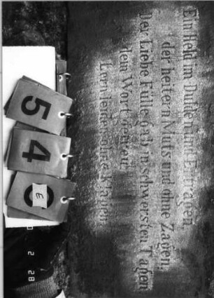 Grabstein 54 (Index: 100114898) Material: Sandstein und polierter Granit Zustand: Stele verrutscht, Texttafel mehrfach zerbrochen und repariert Maße HxBxT: 263x71x36 cm Beschreibung: Ädikula mit gestuftem Sockel auf Rustikasockel, eingezogener Spitzgiebel mit Akroteren und Laubdekor, eingesetzte Texttafel: Grabstein 54E