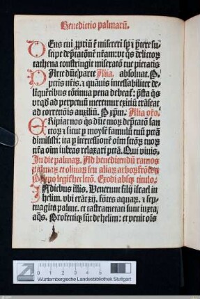 Benedictio palmarum