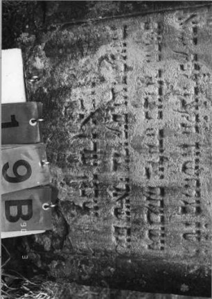Grabstein 19 (Index: 100089987) Material: Sandstein Zustand: zerbrochen und repariert, abgeblättert am unteren Rand, leicht verwittert Maße HxBxT: 84x57x14 cm Beschreibung: Stele mit zweigeteiltem, geschwungenem Rundbogen: Grabstein 19B
