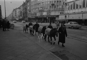 Überwinterung der Zirkusfamilie Helmbrecht Hoppe in Karlsruhe.