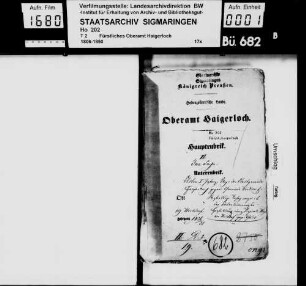 Klage der Stadtgemeinde Haigerloch gegen die Gemeinde Weildorf wegen strittiger Banngrenze ob den Sauerbrunnenwiesen; Herstellung eines Vizinalweges zwischen Weildorf und Gruol