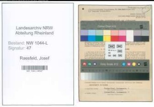 Entnazifizierung Josef Raesfeld , geb. 12.02.1892 (Anstreichermeister)