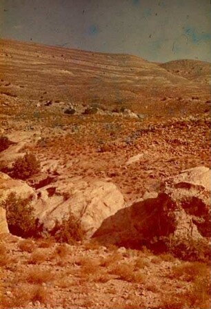 Bl. auf nördl. Wadi