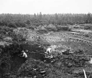 Erzgebirge, Hochmoor, Torfstich