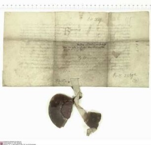 Kaiser Karl IV. erlaubt Heinrich [von Kranlucken], Abt von Fulda, Kanzler der Kaiserin Anna, und seinen Nachfolgern in Rotelsau, Steinbach, Fliede...