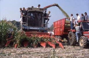 Fotografie: Feldhäcksler selbstfahrend, Maisgebiss, Parallelverfahren