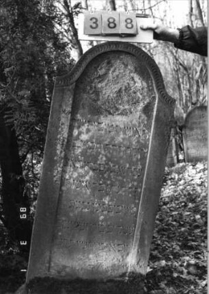 Grabstein 388 (Index: 99752630) Material: Sandstein Zustand: leicht verwittert Maße HxBxT: 129x56x10 cm Beschreibung: Stele, Konvexbogenabschluß, Schriftfeld eingetieft Symbolik: Scheibenfries: Grabstein 388