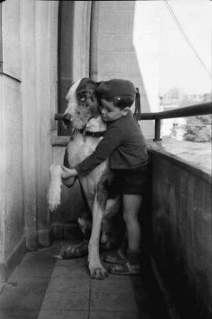 Bukarest: Haus des + Schriftleiters Wilhelm Müller, Junge mit Hund auf Balkon