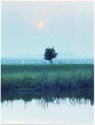 Seenlandschaft