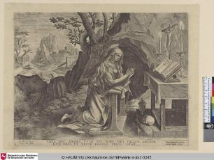 [Die Heilige Maria Magdalena als Büßerin; St Mary Magdalene Repentant]