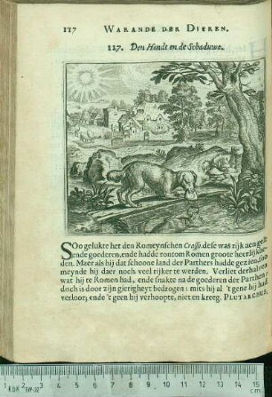 117. Den Hondt en de Schaduwe.