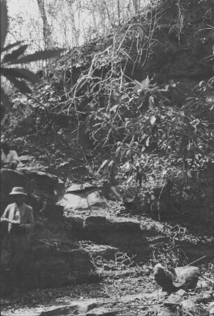 Professor Hennig im Maimbui-Bach : Expeditionsleiter Professor Hennig in einem Flussbett