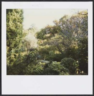 Garten in Puy-Saint-Martin