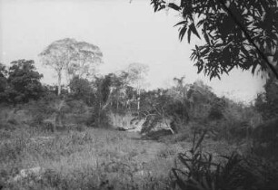 Landschaft : Blick in eine Savannenlandschaft