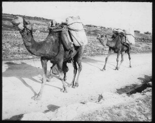 Straße nach Nablus