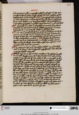 Johannes Magdeburgensis OP, Vita Margaretae contractae
