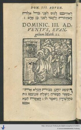 Dominica III. Adventus, Evangelium Matth. XI.